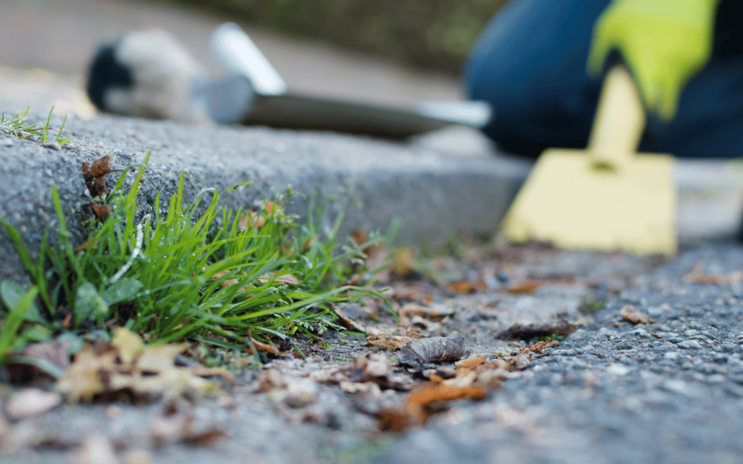 Protecting Your Property: The Benefits of Professional Sewer and Storm Drain Cleaning